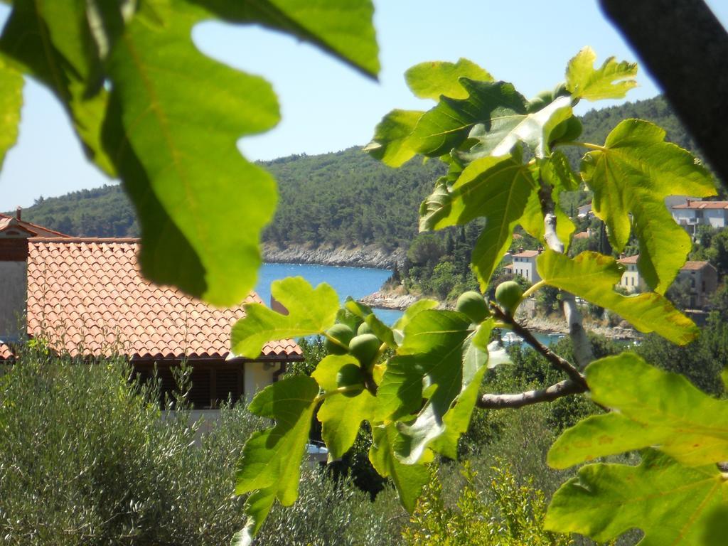 Drenje  Apartments Ida Sveta Marina מראה חיצוני תמונה